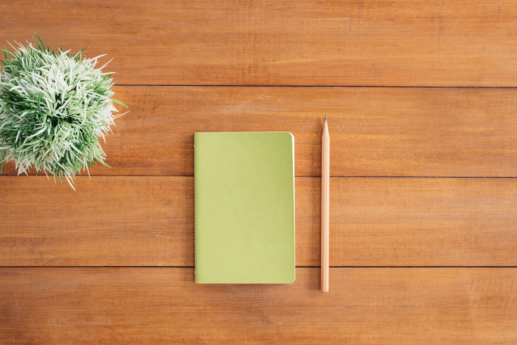 How to work remotely and not lose your mind.